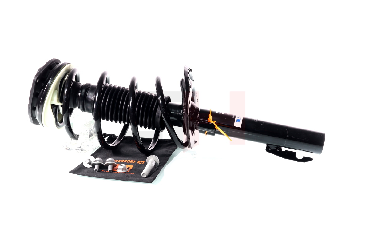 Complete Suspension strut front RENAULT MEGANE II 1.9DCI, 2.0, 2.0DCI