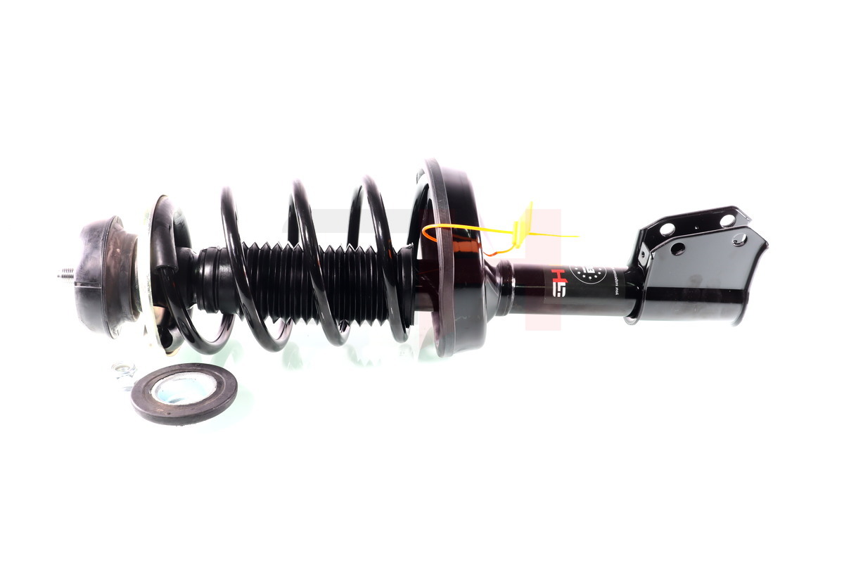 Complete Suspension strut front RENAULT CLIO II 09.1998-06.2005 1.2, 1.2LPG 52MM