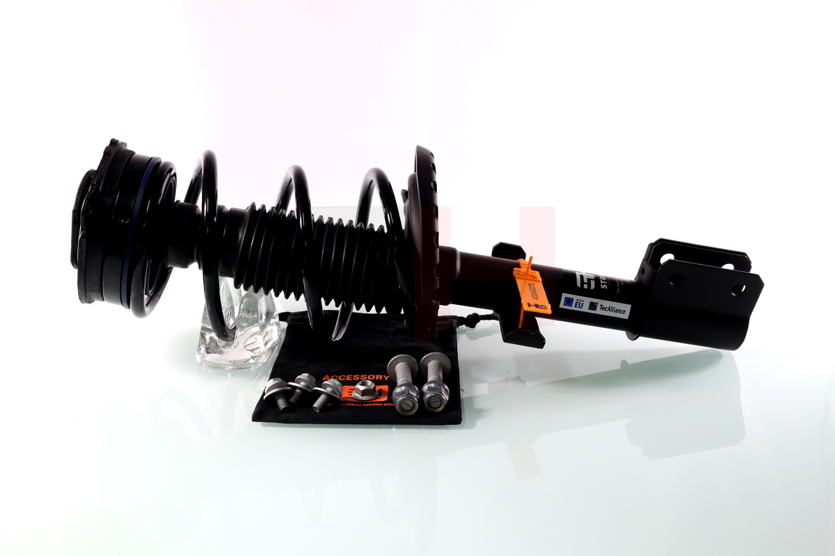 Complete Suspension strut front RENAULT CLIO III -07.2010 2.0 16V SPORT