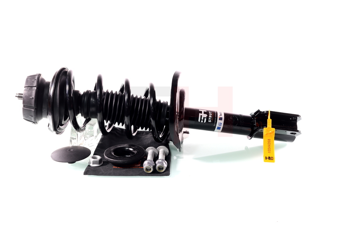 Complete Suspension strut front DACIA LODGY 03.2012-> 1.5DCI
