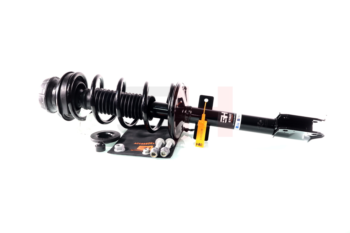 Complete Suspension strut Rear DACIA DUSTER 06.2010-> 4WD