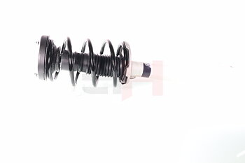 Complete Suspension strut front PRO BMW 7 (E65, E66, E67)