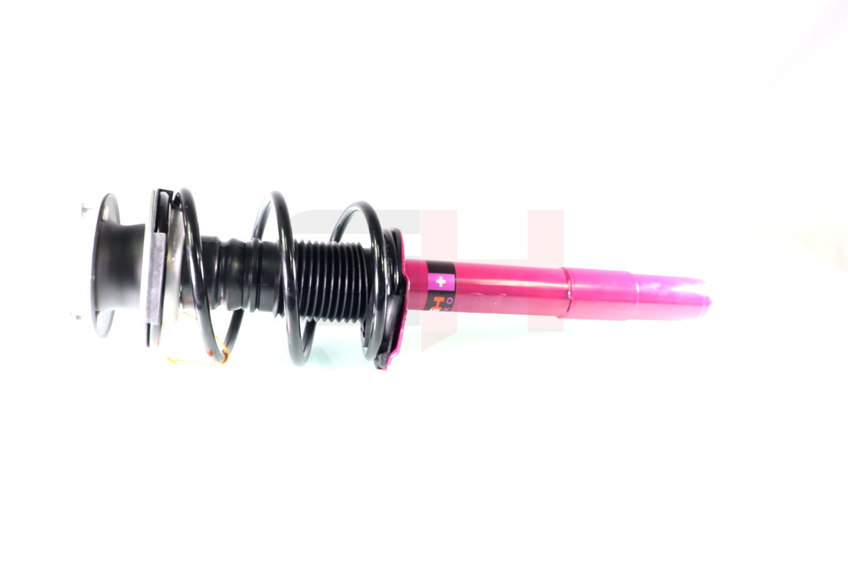 Complete Suspension strut front PRO BMW 5 (E39)