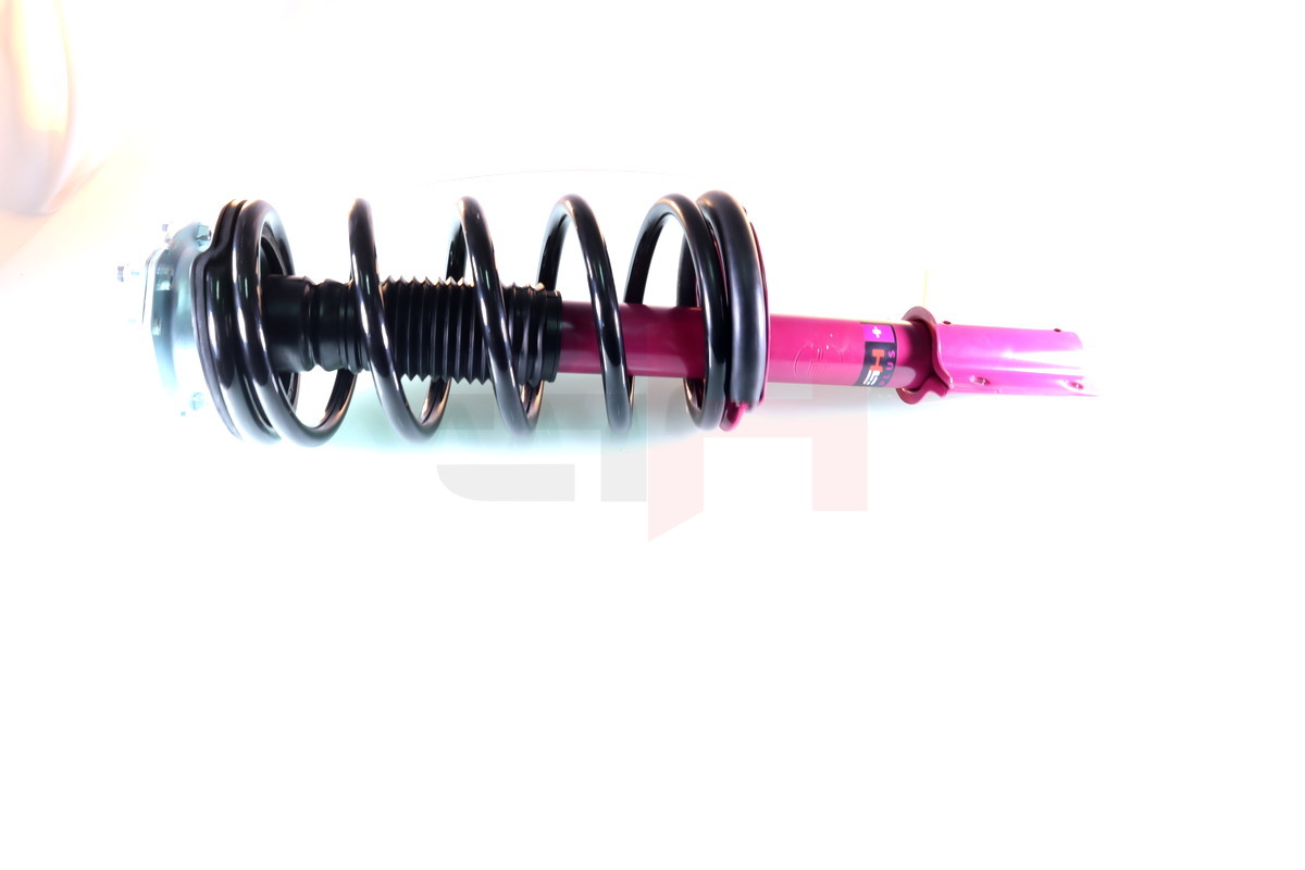 Complete Suspension strut front PRO PEUGEOT BOXER Buss (230P)