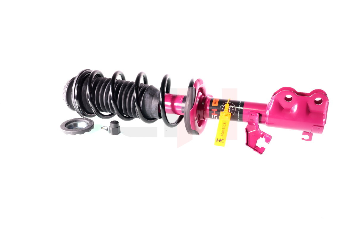 Complete Suspension strut front PRO NISSAN NOTE (E12)