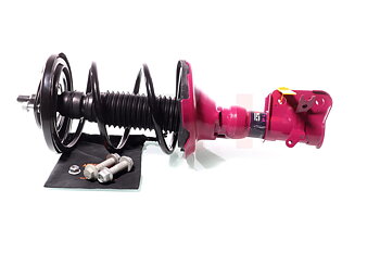Complete Suspension strut front PRO HONDA CIVIC VII Hatchback (EU, EP, EV)