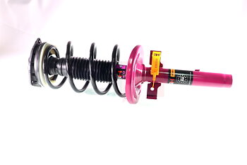 Complete Suspension strut front PRO RENAULT MEGANE II (BM0/1_, CM0/1_)