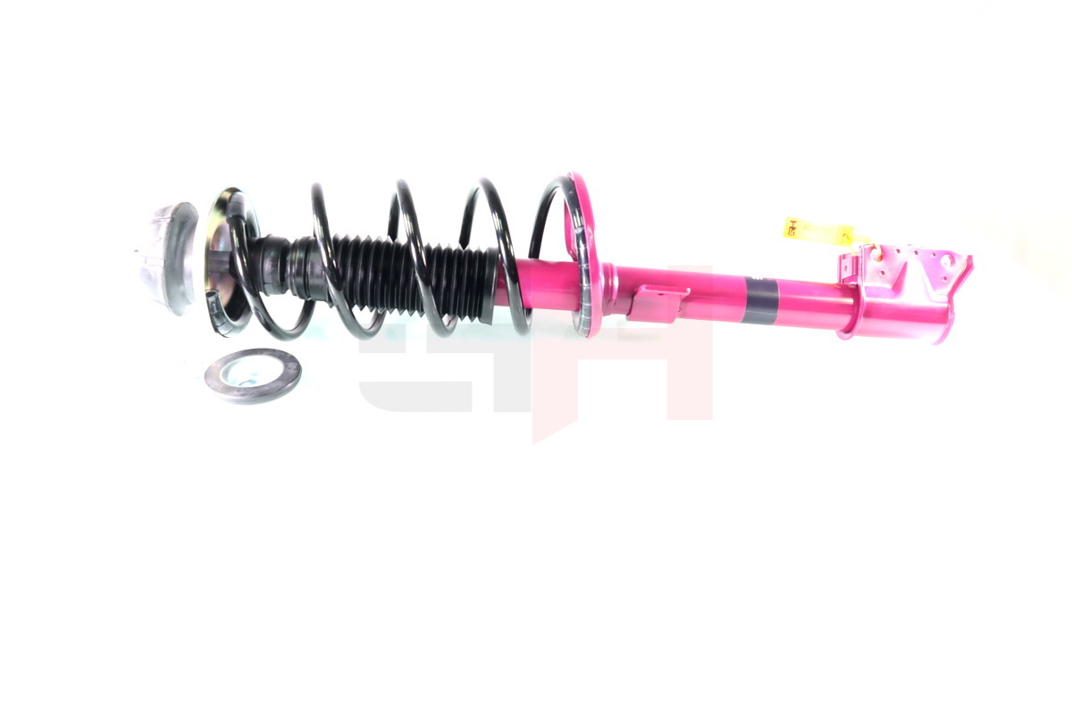 Complete Suspension strut Rear PRO DACIA DUSTER (HS_)