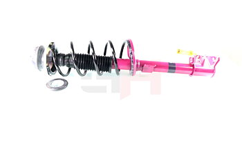 Complete Suspension strut Rear PRO DACIA DUSTER (HS_)