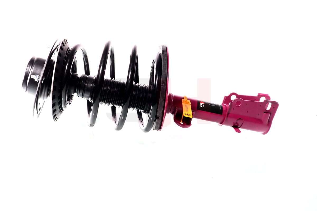 Complete Suspension strut front PRO CHRYSLER VOYAGER IV (RG, RS)