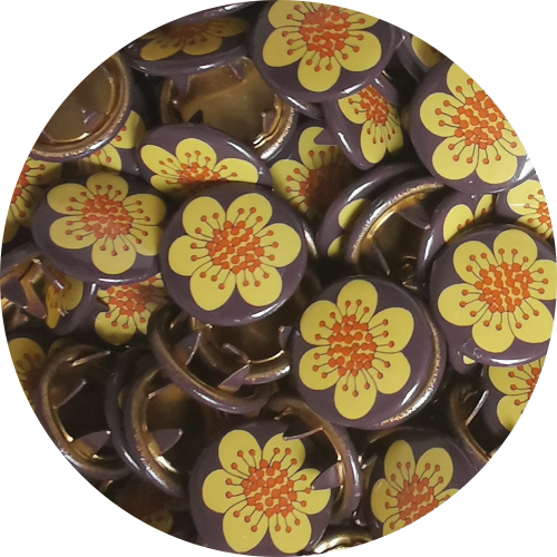 Mayflower Brown