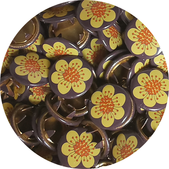 Mayflower Brown