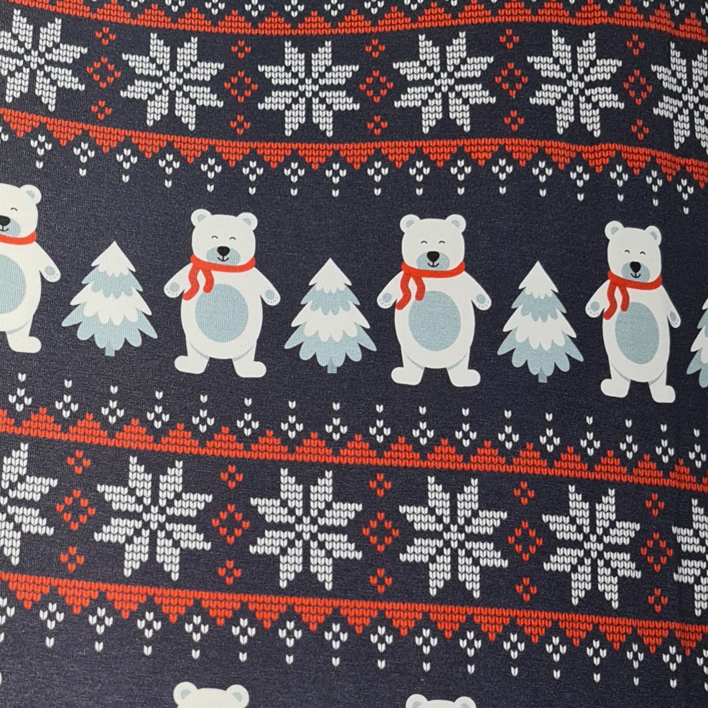 Winter Teddy - 2