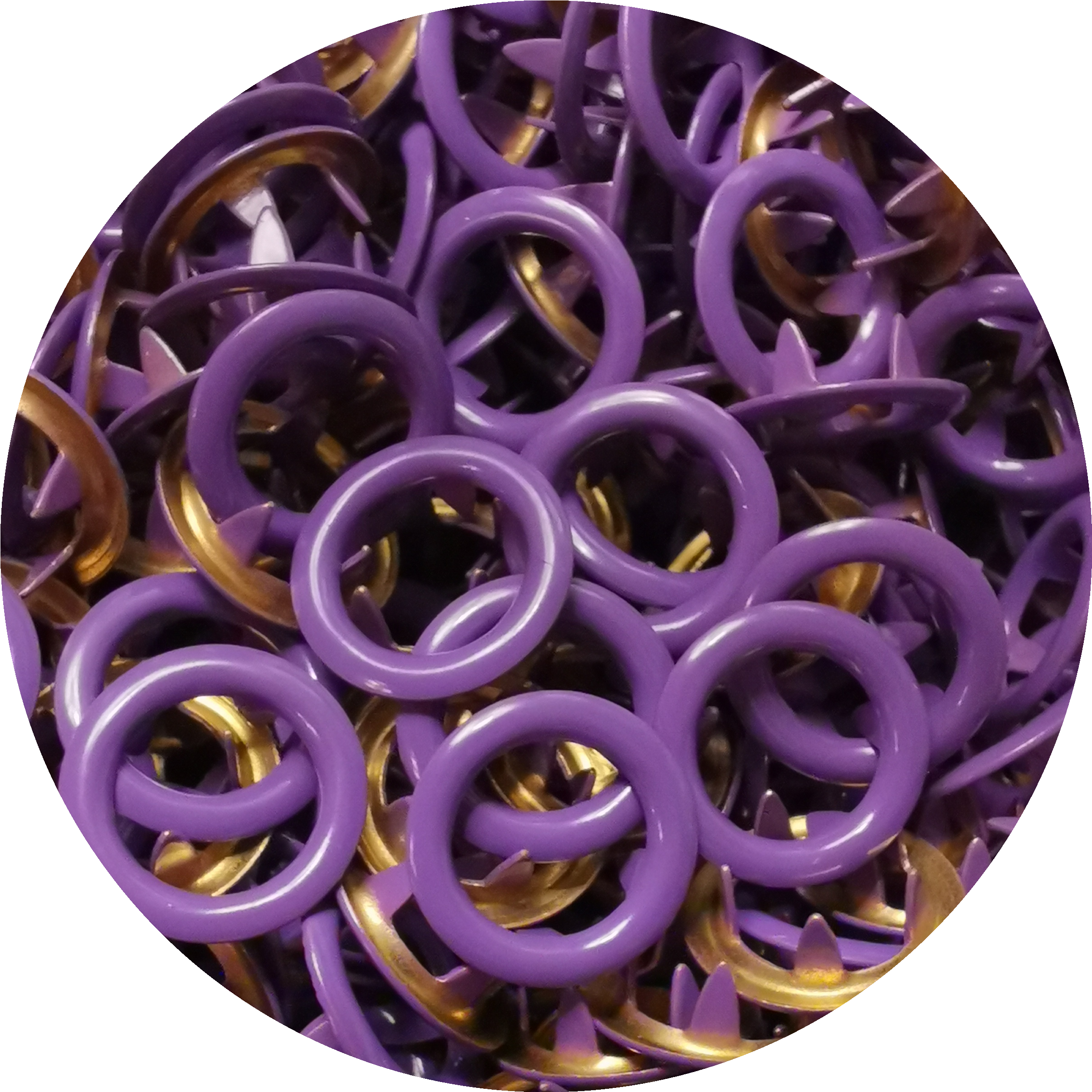 Ring Purple