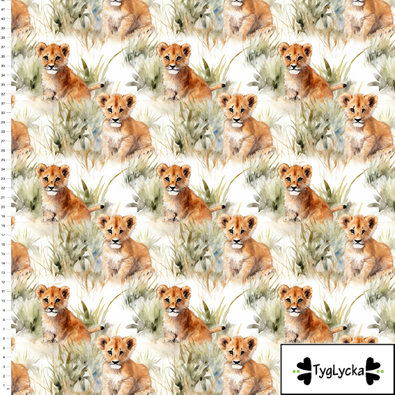 2m Baby lions