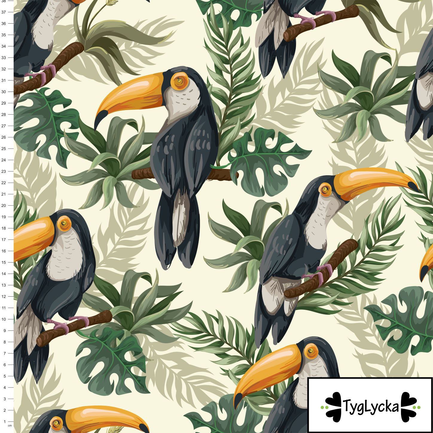 Toucans