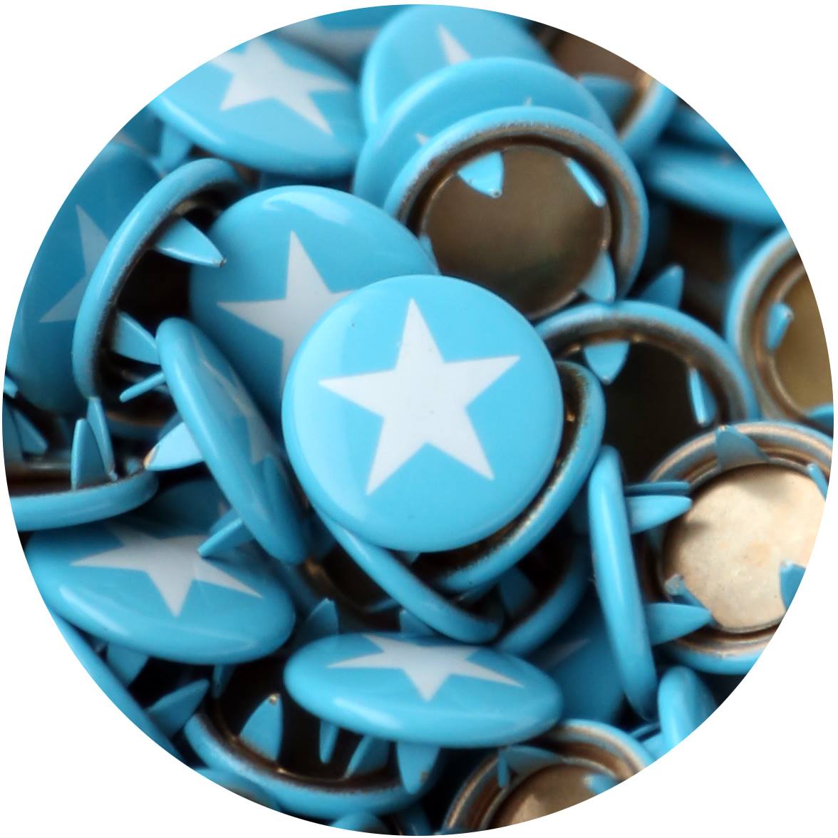 Turquoise with white star