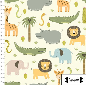 60cm Safari
