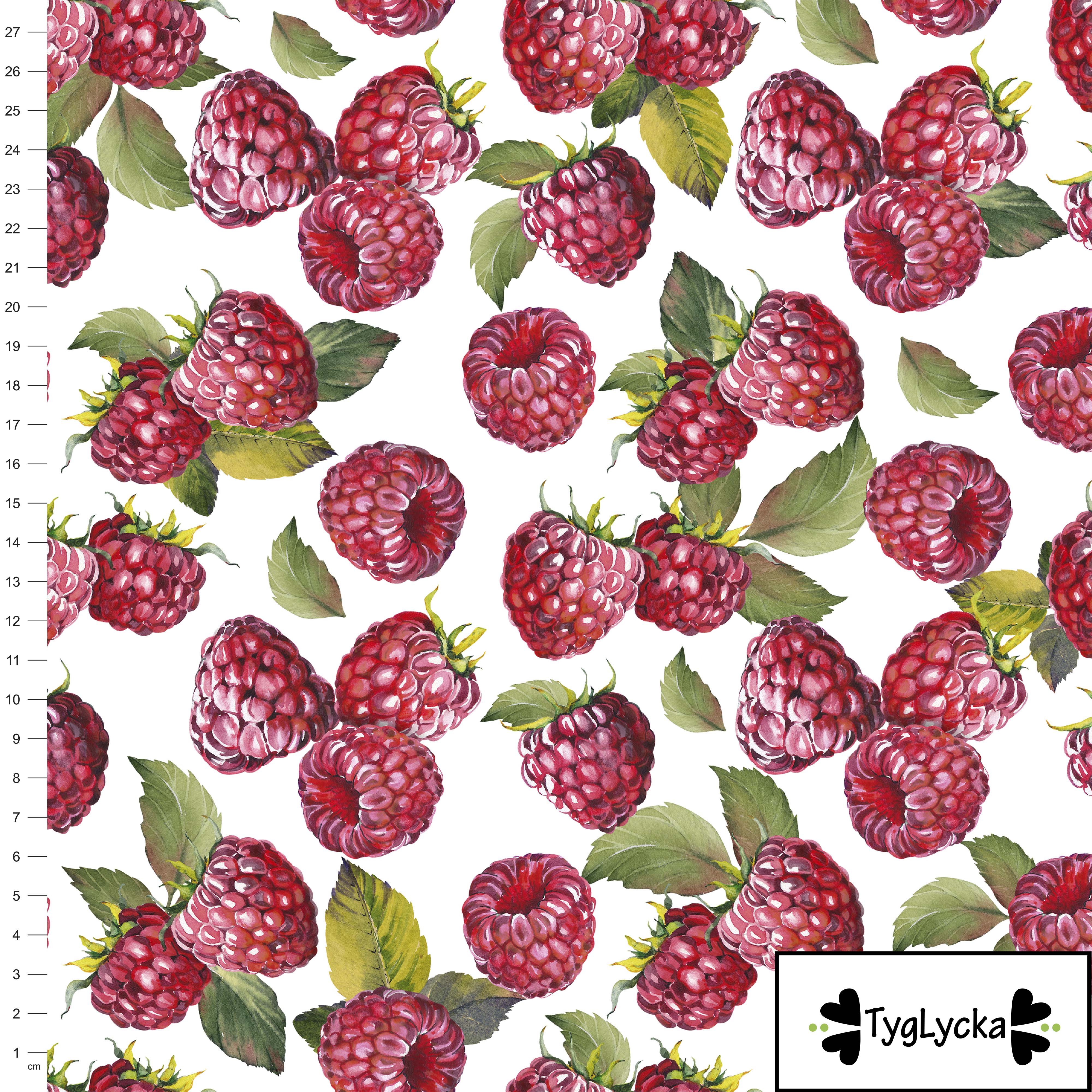 60cm Raspberries