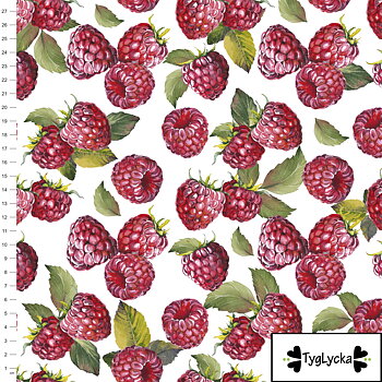60cm Raspberries