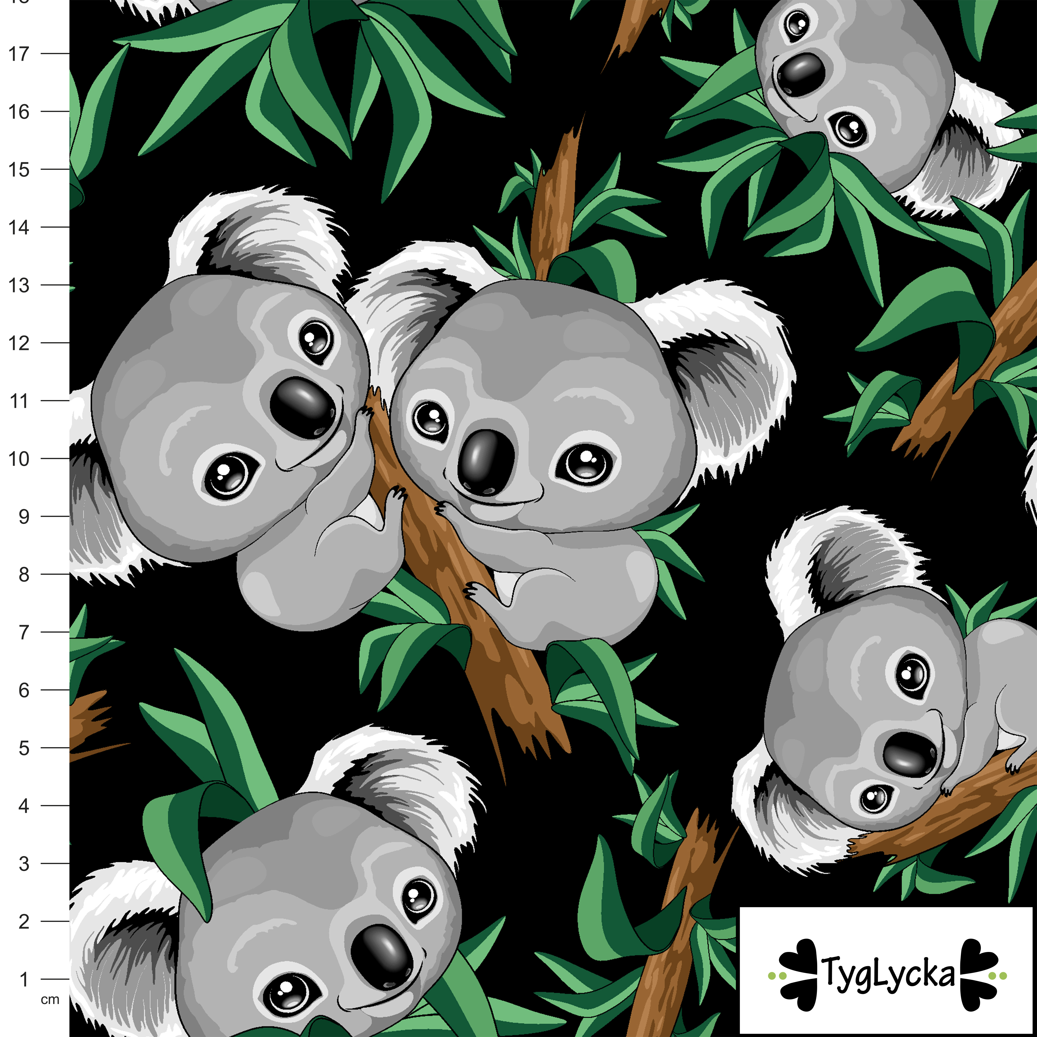 1m Koalas