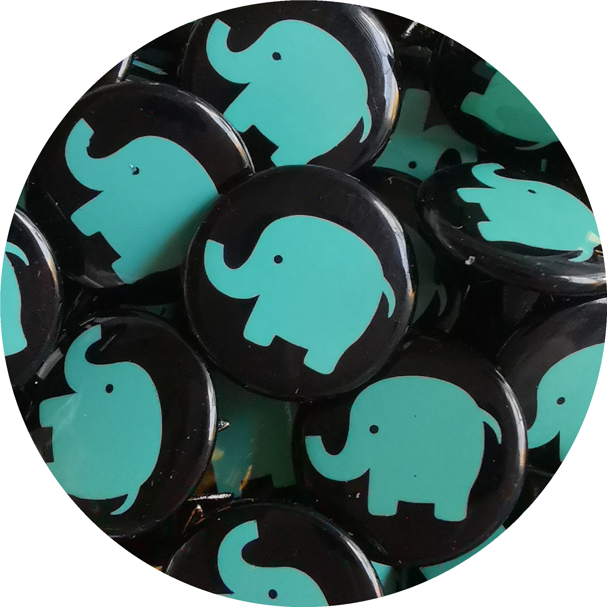 Elephant mint