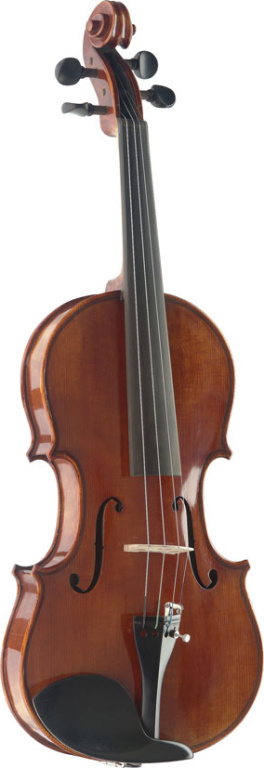 4/4 Violin & Deluxe Softcase