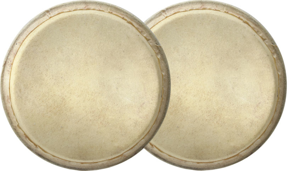 6"+7"Bongo Head For Bw-70N - 2
