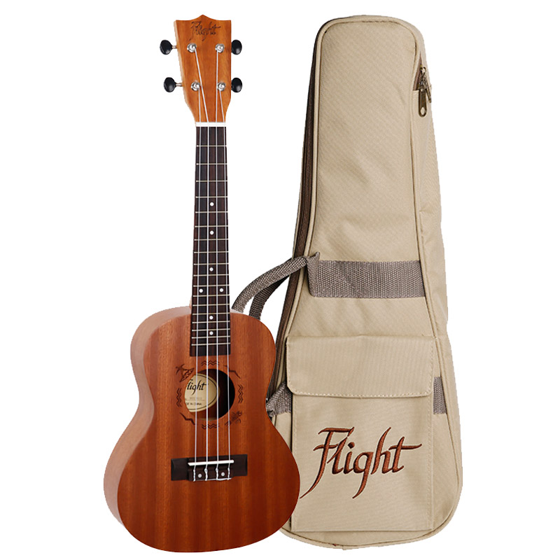 Flight NUC310 Concert