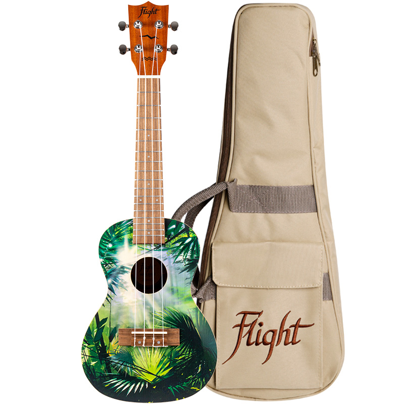 Flight AUC-33 Jungle Concert