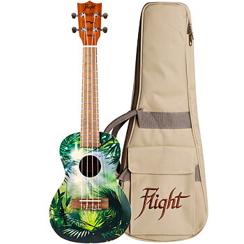 Flight AUC-33 Jungle Concert