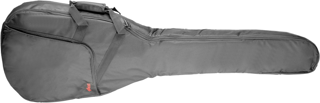 Acoustic Bass Bag