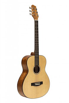 Acoustic Gt.Audi Spruce Nat