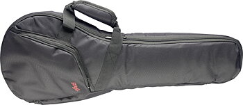 BAG FOR MANDOLINE
