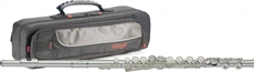 C Flute,16Key,Mec E+Soft Case