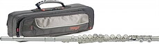 C Flute,16Key,Mec E+Soft Case