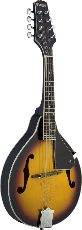 MANDOLIN-LINDEN TOP-VIOLINBURS - 2