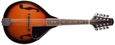 MANDOLIN-LINDEN TOP-VIOLINBURS