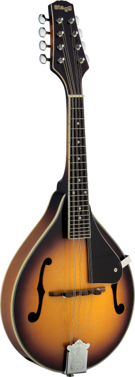 Mandolin-Sd.Spruce-Goldburst