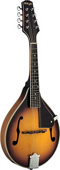 Mandolin-Sd.Spruce-Goldburst