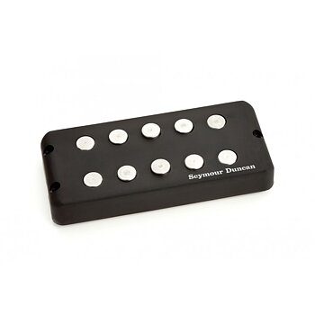 SMB-5D 5-Strg  Music Man Ceram