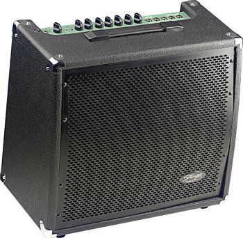 Spring Revb Gt.Ampli.60W
