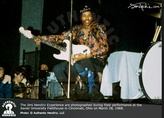 Jimi Hendrix Loaded Pickguard Standard - 4