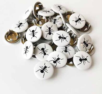 Snap-on button Ant 