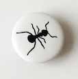 Snap-on button Ant  - 2