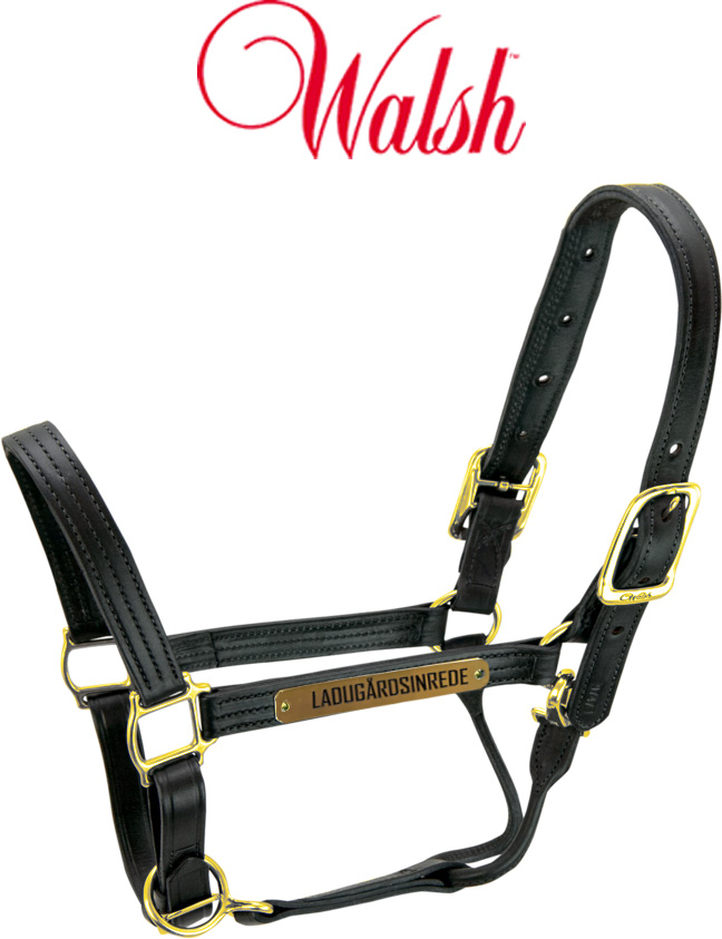 WALSH LÄDER GRIMMA BRED