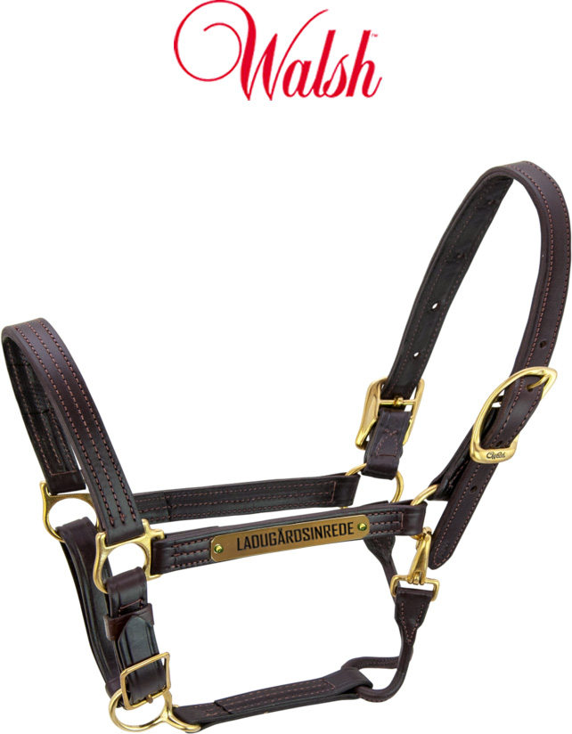 WALSH LÄDER GRIMMA BRED - 2