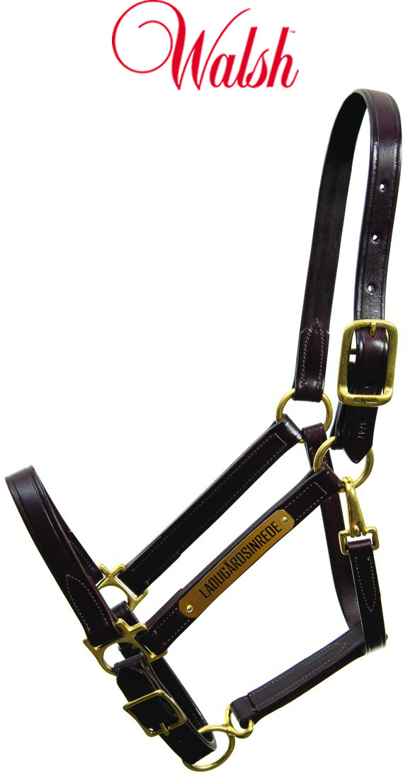 WALSH LÄDER GRIMMA  - 2