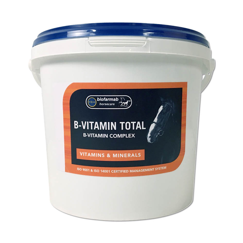 B-VITAMIN TOTAL 450g