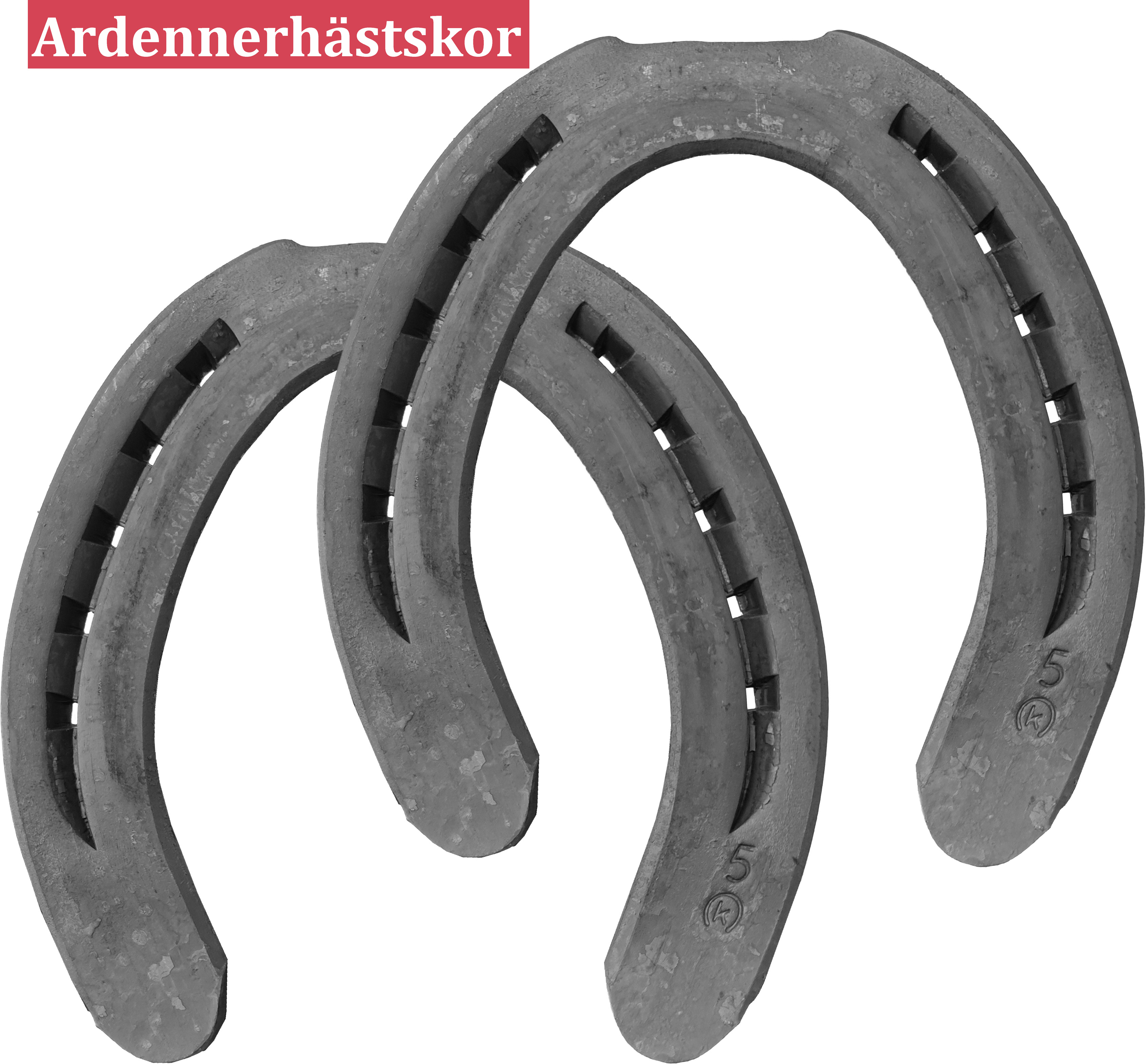 Ardenner Bak
